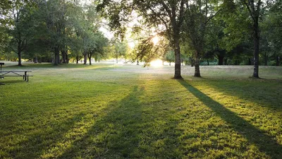 Peaceful park scene with sunlight streaming through trees at sunrise, casting long shadows on grass.