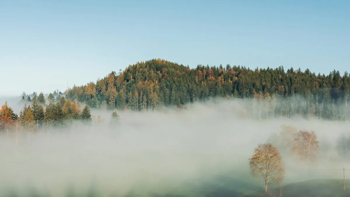 Serene misty forest scene with hills and dense fog under a clear sky.