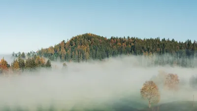 Serene misty forest scene with hills and dense fog under a clear sky.