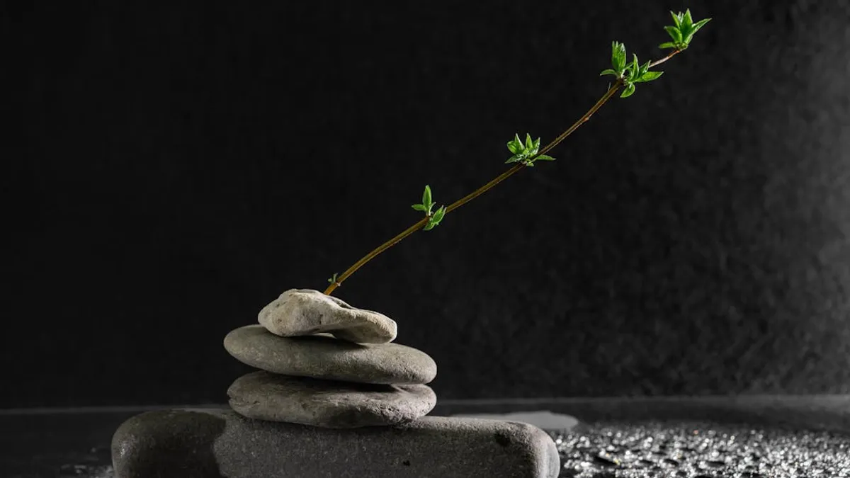 A serene still life of balanced stones and a stem with leaves on a dark, wet surface.